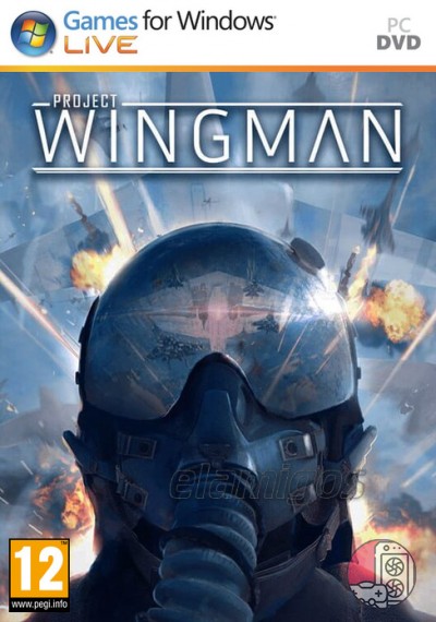 download Project Wingman