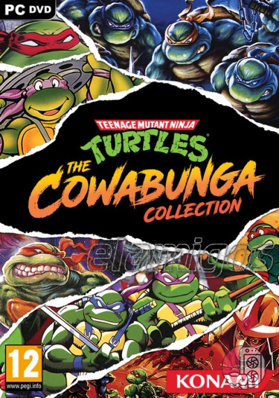 download Teenage Mutant Ninja Turtles: The Cowabunga